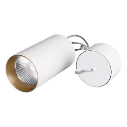 Больше о товаре Подвесной светильник Arlight SP-Polo-Hang-R85-15W White5000 027427