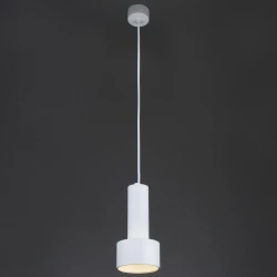 Больше о товаре Подвесной светильник Eurosvet 50134/1 LED белый