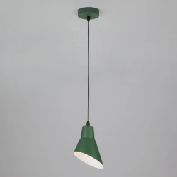 Больше о товаре Подвесной светильник Eurosvet Nook 50069/1 зеленый