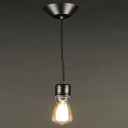 Больше о товаре Подвесной светильник Citilux Эдисон CL450200