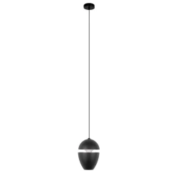 Больше о товаре Подвесной светильник Loft IT Viterbo 10336 Black