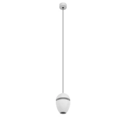 Больше о товаре Подвесной светильник Loft IT Viterbo 10336 White