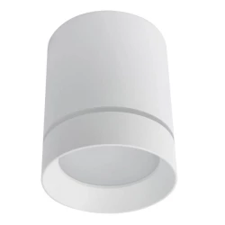 Больше о товаре Потолочный светодиодный светильник Arte Lamp Elle A1949PL-1WH