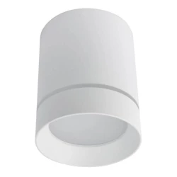 Больше о товаре Потолочный светодиодный светильник Arte Lamp A1909PL-1WH