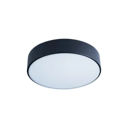 Больше о товаре Потолочный светодиодный светильник Loft IT Axel 10002/12 black