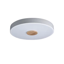 Больше о товаре Потолочный светодиодный светильник Loft IT Axel 10003/24 white