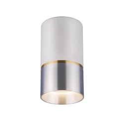 Больше о товаре Потолочный светильник Elektrostandard DLN106 GU10 белый/серебро 4690389148606