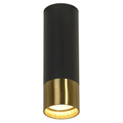Больше о товаре Потолочный светильник Lussole Loft LSP-8556
