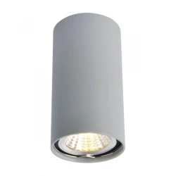 Больше о товаре Потолочный светильник Arte Lamp A1516PL-1GY