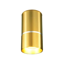 Больше о товаре Потолочный светильник Elektrostandard DLN106 GU10 золото 4690389148613