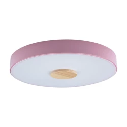 Больше о товаре Потолочный светодиодный светильник Loft IT Axel 10003/24 pink