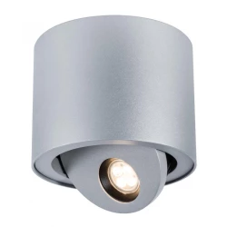 Больше о товаре Потолочный светодиодный светильник Paulmann Premium ABL Ostra 92732