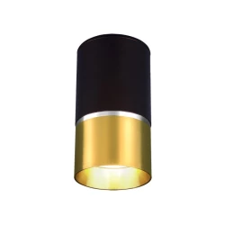 Больше о товаре Потолочный светильник Elektrostandard DLN106 GU10 золото 4690389148590