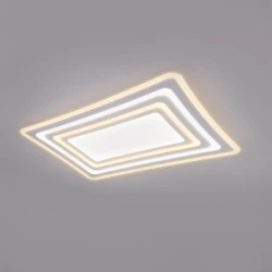 Больше о товаре Потолочный светодиодный светильник Eurosvet Salient 90155/4 белый