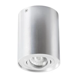 Больше о товаре Потолочный светильник Arte Lamp A5644PL-1SI