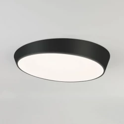 Больше о товаре Потолочный светодиодный светильник Eurosvet Visual 90114/1 черный