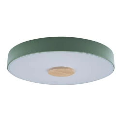 Больше о товаре Потолочный светодиодный светильник Loft IT Axel 10003/24 green