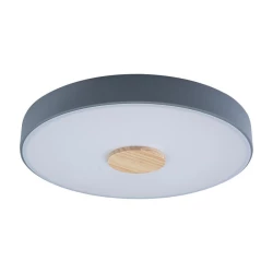 Больше о товаре Потолочный светодиодный светильник Loft IT Axel 10003/24 grey