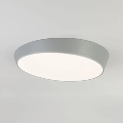 Больше о товаре Потолочный светодиодный светильник Eurosvet Visual 90114/1 серый