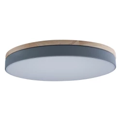 Больше о товаре Потолочный светодиодный светильник Loft IT Axel 10001/36 grey