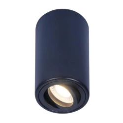 Больше о товаре Потолочный светильник Ambrella light Techno Spot TN226