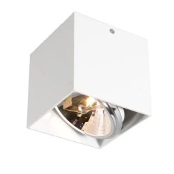 Больше о товаре Потолочный светильник Zumaline Box sl1 89947-G9