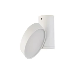 Больше о товаре Накладной светильник Donolux DL18811/9W White R Dim