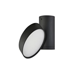 Больше о товаре Накладной светильник Donolux DL18811/9W Black R Dim