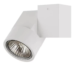 Больше о товаре Потолочный светильник Lightstar Illumo XI Bianco 051026