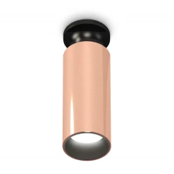 Больше о товаре Потолочный светильник Ambrella Light Techno Spot XS6326101