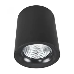 Больше о товаре Потолочный светодиодный светильник Arte Lamp Facile A5112PL-1BK