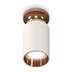 Больше о товаре Потолочный светильник Ambrella Light Techno Spot XS6301201