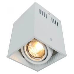 Больше о товаре Потолочный светильник Arte Lamp Cardani A5942PL-1WH