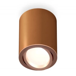 Больше о товаре Потолочный светильник Ambrella Light Techno Spot XS7404002