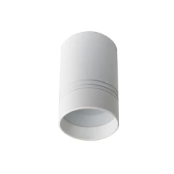 Больше о товаре Накладной светильник Donolux DL18483/WW-White R