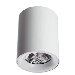 Больше о товаре Потолочный светодиодный светильник Arte Lamp Facile A5118PL-1WH