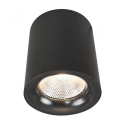 Больше о товаре Потолочный светодиодный светильник Arte Lamp Facile A5118PL-1BK