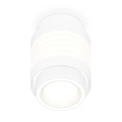 Больше о товаре Потолочный светильник Ambrella Light Techno Spot XS8431002
