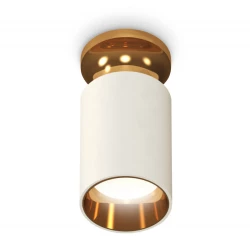 Больше о товаре Потолочный светильник Ambrella Light Techno Spot XS6301181
