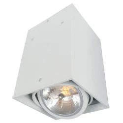 Больше о товаре Потолочный светильник Arte Lamp Cardani A5936PL-1WH