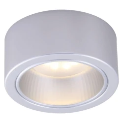 Больше о товаре Потолочный светильник Arte Lamp Effetto A5553PL-1GY