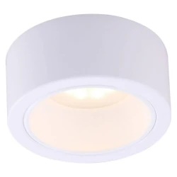 Больше о товаре Потолочный светильник Arte Lamp Effetto A5553PL-1WH