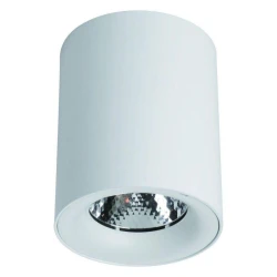 Больше о товаре Потолочный светодиодный светильник Arte Lamp Facile A5112PL-1WH