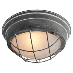 Больше о товаре Потолочный светильник Lussole Loft LSP-9881