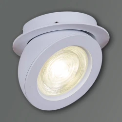 Больше о товаре Точечный светильник Reluce 84053-9.0-001QR COB8W WT