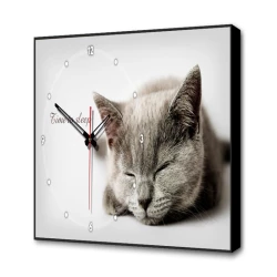 Больше о товаре Настенные часы Серая кошка Timebox Toplight 37х60х4см TL-C5022